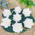 /msite/products/detail/productid/63225911/id/1519436.html